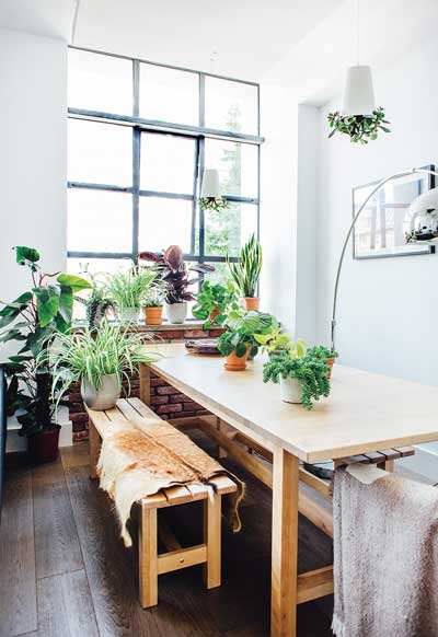 Windowsills and table tops are great places to add different plants of all sizes. Choose a combination of textures and colors for maximum impact.